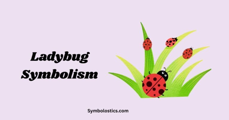 Ladybug Symbolism