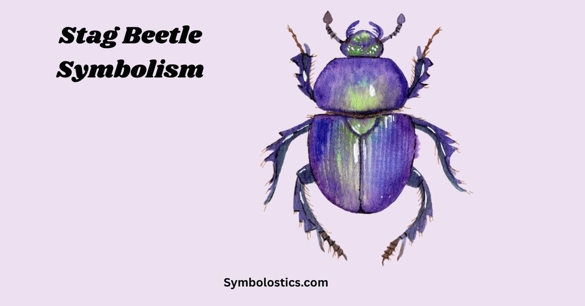 Stag Beetle symbolism