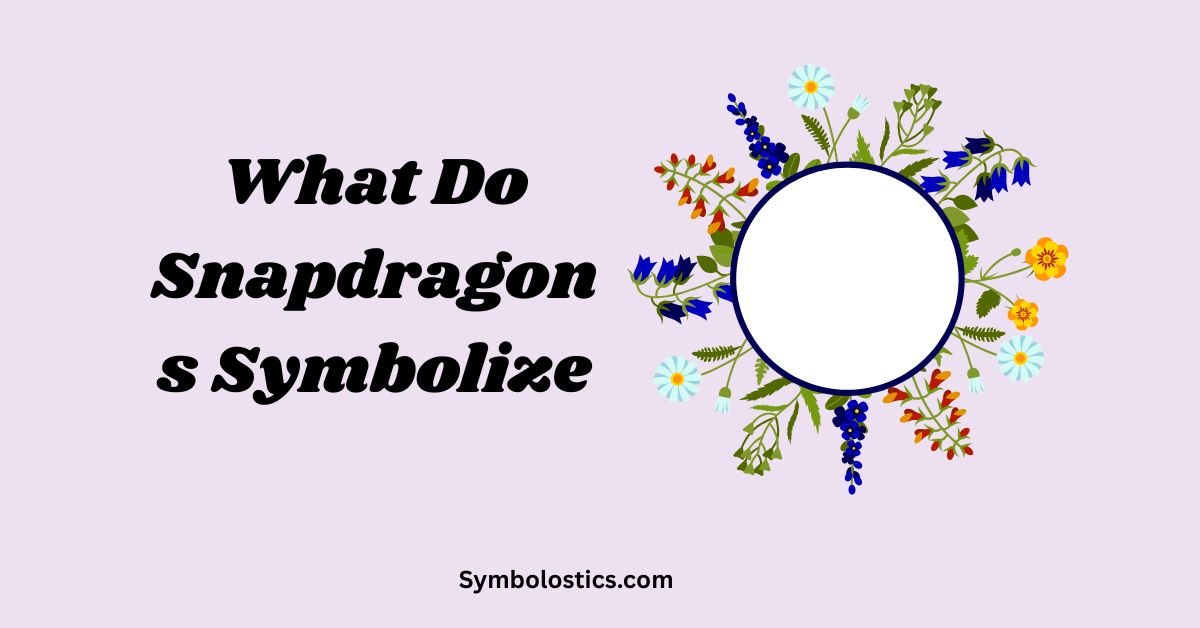 What Do Snapdragons Symbolize