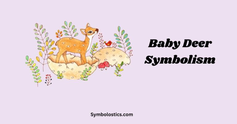 Baby Deer Symbolism