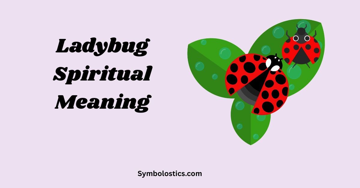 Ladybug Spiritual Meaning