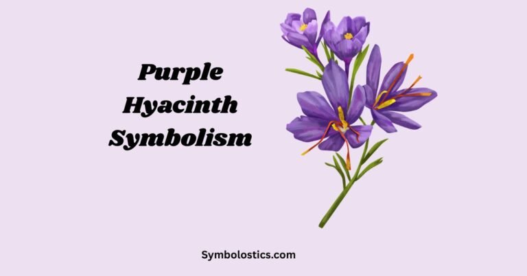 Purple Hyacinth Symbolism