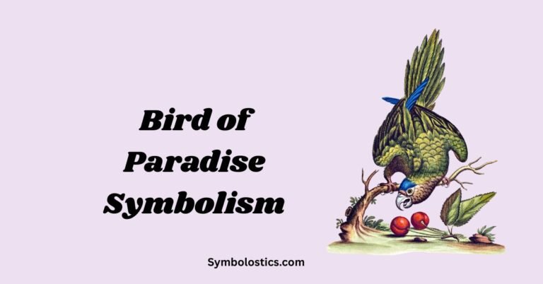 Bird of Paradise Symbolism