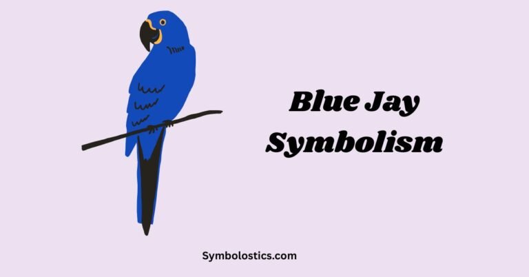 Blue Jay Symbolism