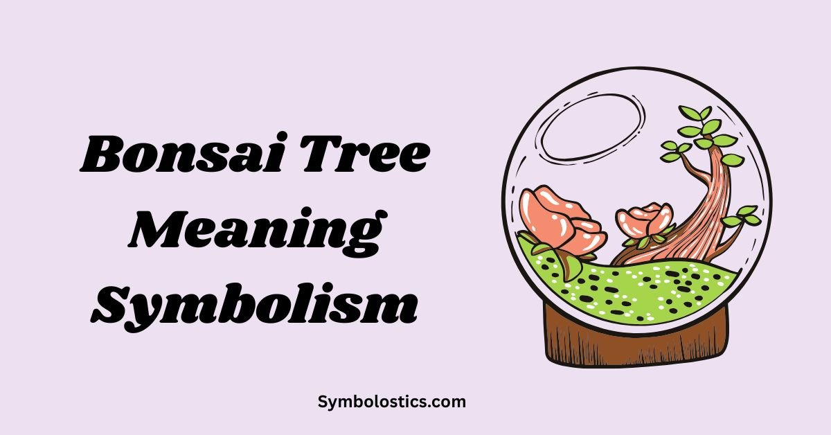 Bonsai Tree Meaning Symbolism