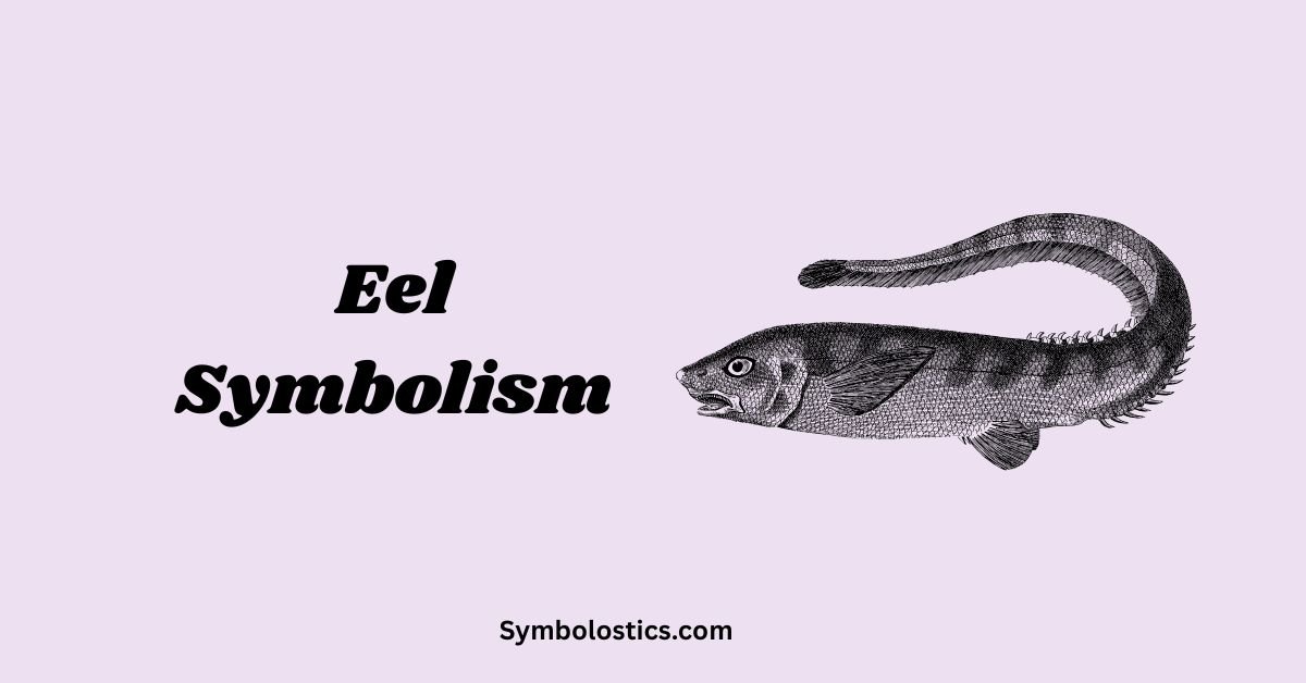 Eel Symbolism