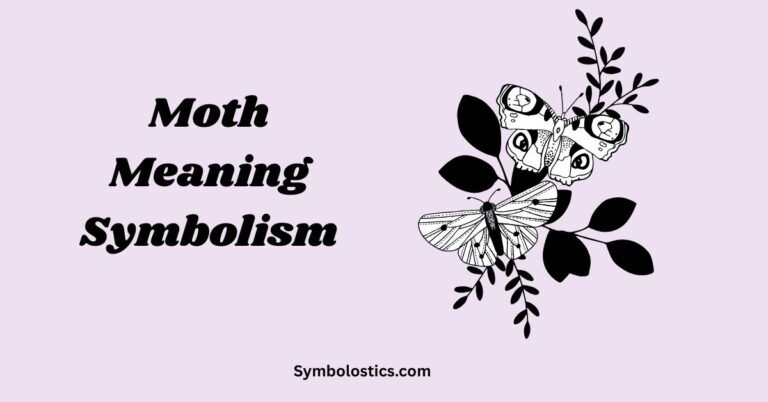 Moth Meaning Symbolism