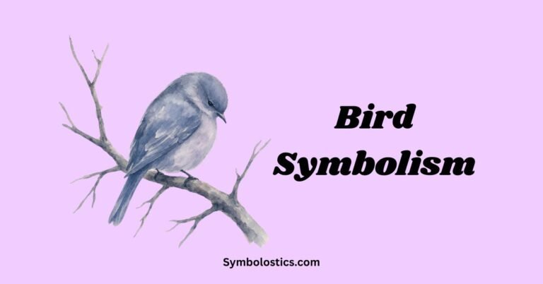 Bird Symbolism