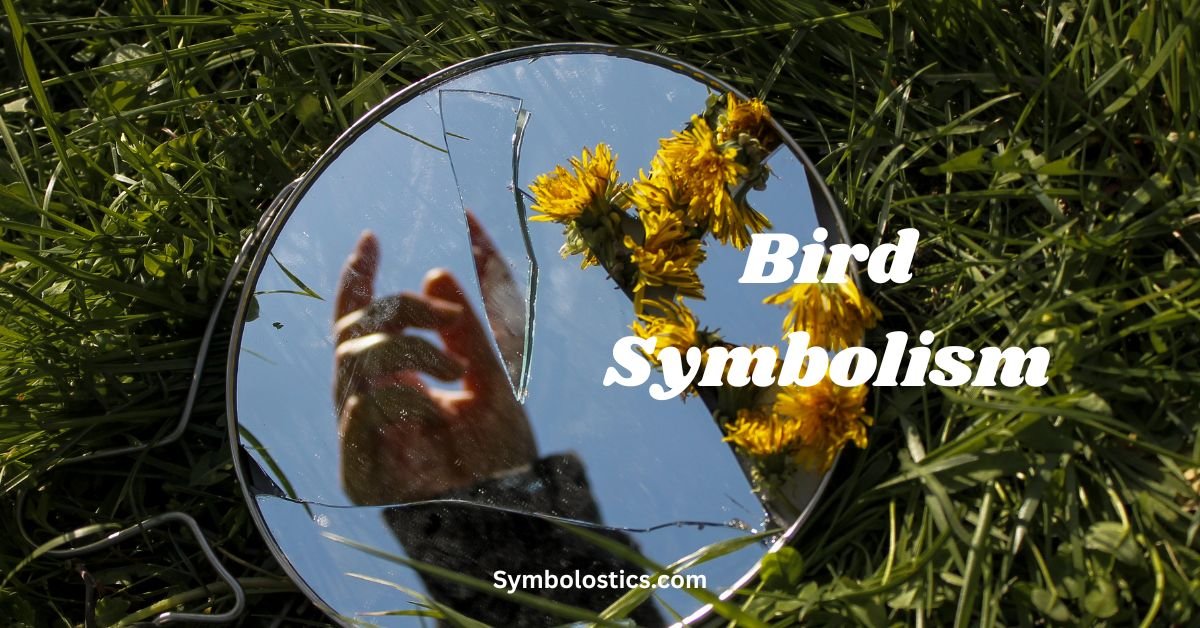 Broken Mirror Symbolism