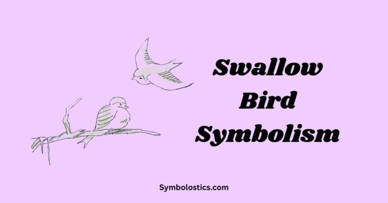 Swallow Bird Symbolism
