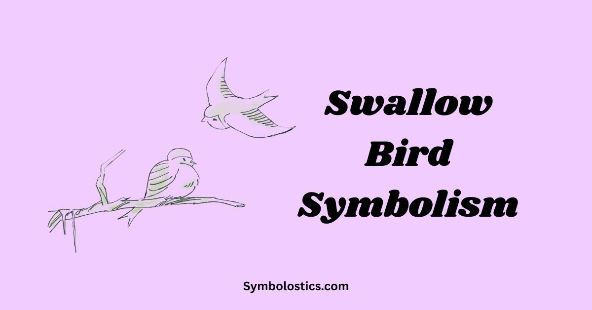 Swallow Bird Symbolism