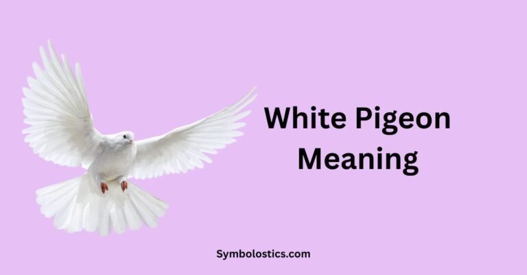 White Pigeon Meaning