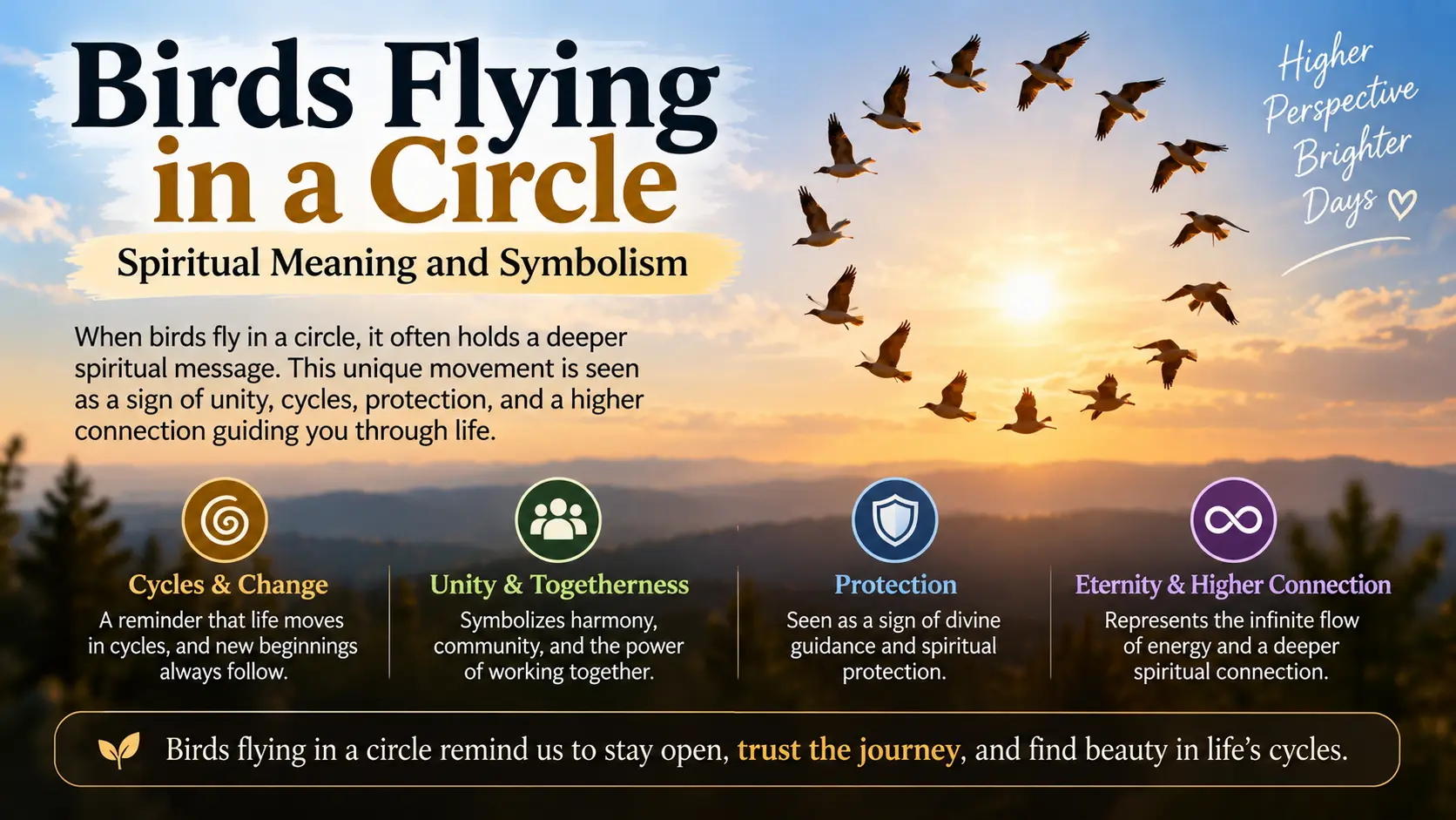 Birds Flying in a Circle