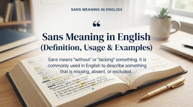 Sans Meaning in English: Definition, Usage & Examples
